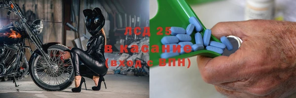 трава Абаза