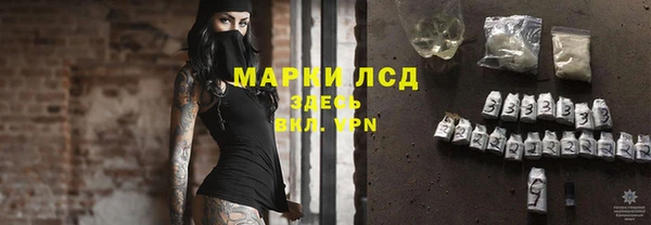 трава Абаза