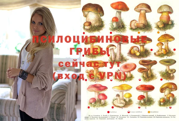 mdpv Абинск